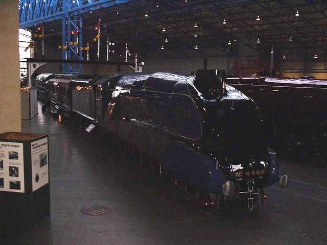mallard.JPG (38063 octets)