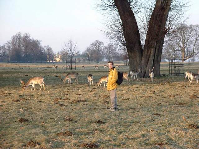martin_et_les_cerfs.jpg (59279 octets)