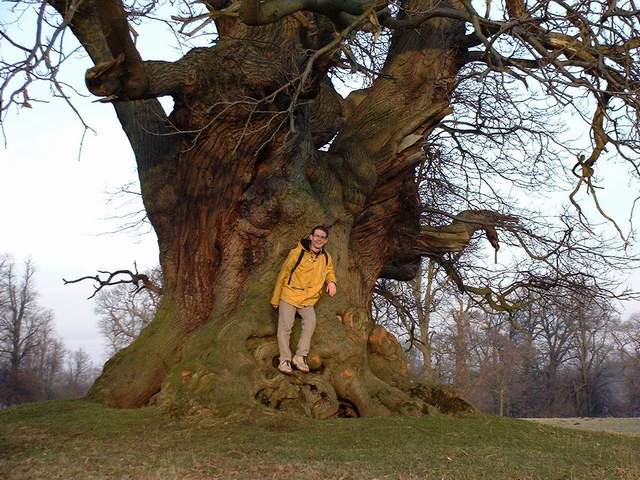 martin_et_son_arbre.jpg (69680 octets)