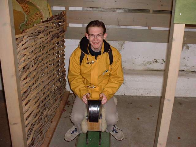 martin_moutonrodeo.jpg (40254 octets)