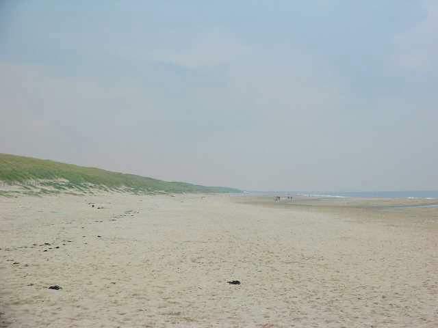 plage_noordwijk.JPG (26055 octets)